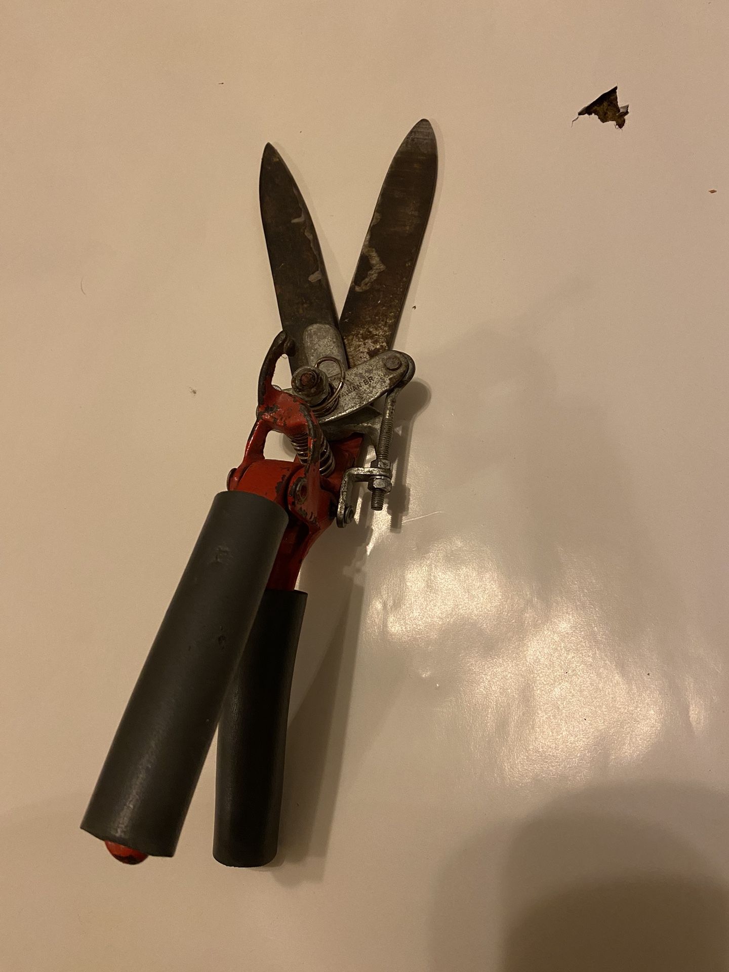 Shears. Grass