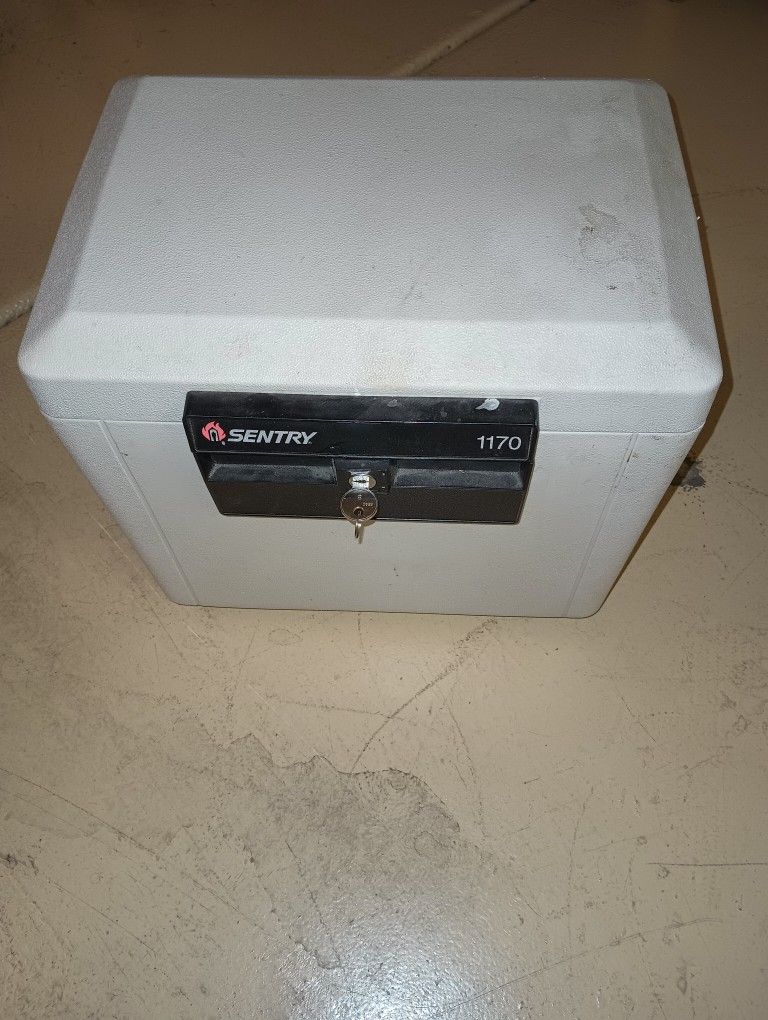 Sentry 1170 Fire Safe