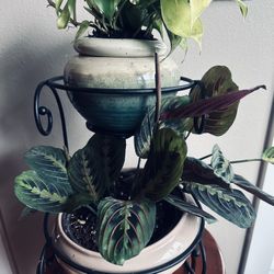 Two Plants With Pots And The Two Tiers Holder