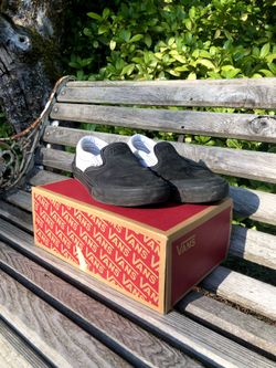 Vans Dakota Roche Bmx shoe