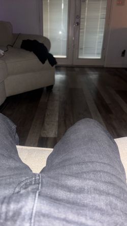 dog sitter