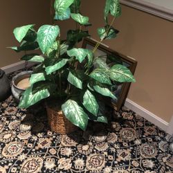 Artificial Plant Decorative