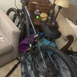 Cannon Bicycle