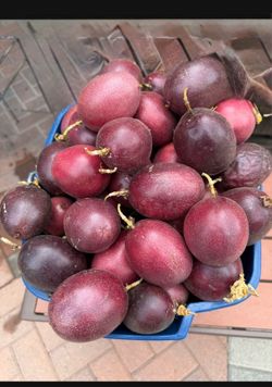 PASSION  FRUIT 🍎