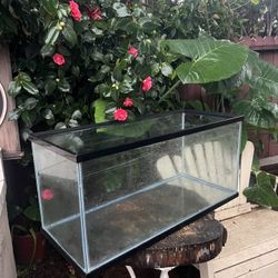 Fish Tank 40 Gallon  
