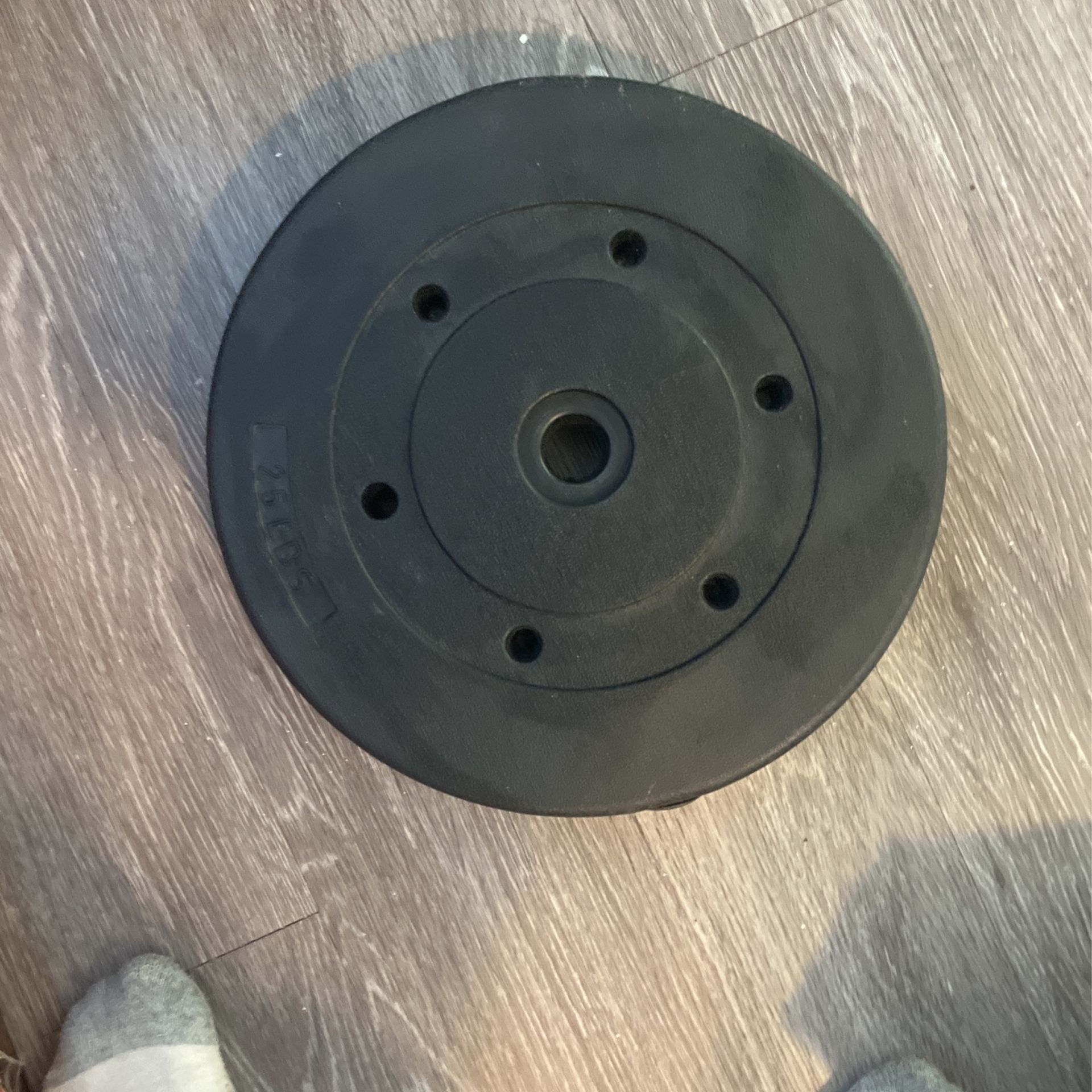 25lb Weight Plate