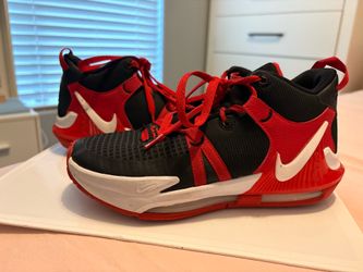 LeBron James Shoes