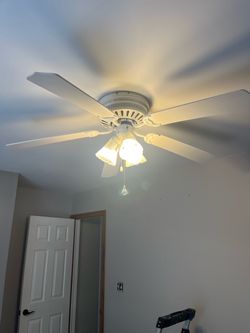 Free Ceiling fan with lights