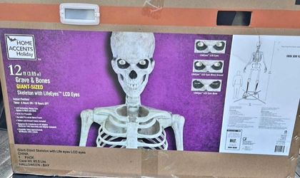 12 Foot Skeleton