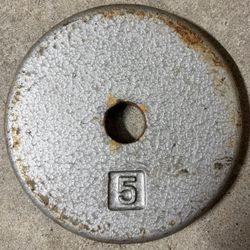5 lb Cast Iron Weight Plate