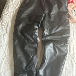 Leather Insulated Black Fur Pants