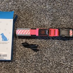USB Rechargeable LED Dog Collar - pink