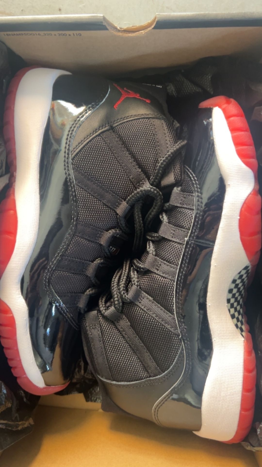 Jordan 11 Bred Gs