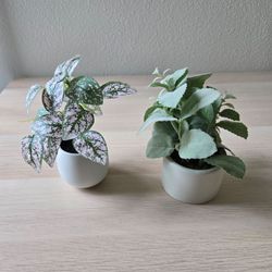 Fake plants