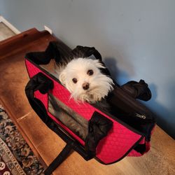 Red pet, dog, cat carrier. Excelente Condition. $ 25 OBO
