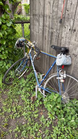 Raleigh Antique