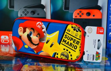 Nintendo Switch Regular/Lite Premium CASE