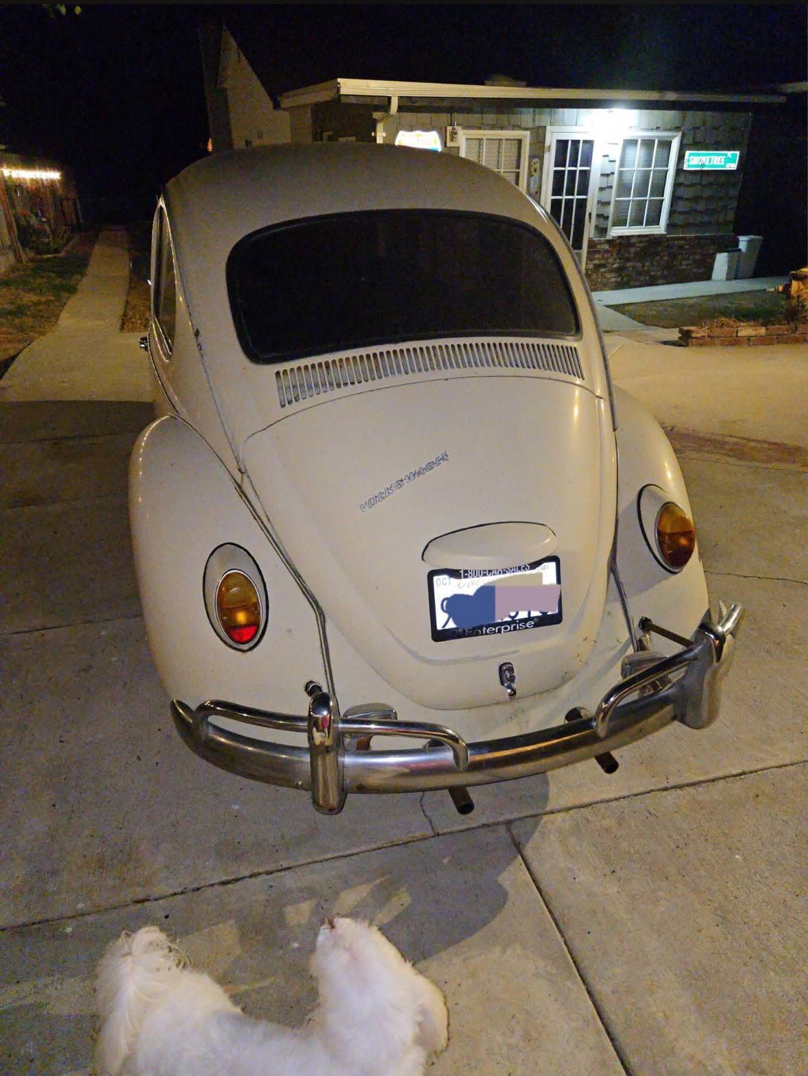 1967 Volkswagen Bug