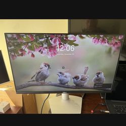 Dell 24” Monitor