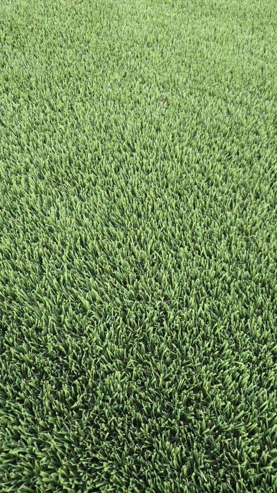 Turf Rectangle 10 ft x 4 ft