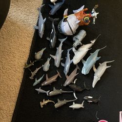 Sharks, Etc