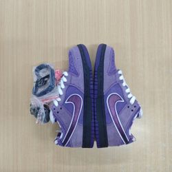 Purple Lobster Nike Sb 