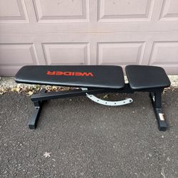 Exercise Bench