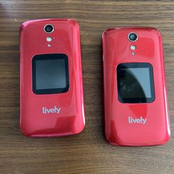 Jitterbug flip phone