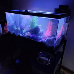 Like New 50 Gallon Aquarium Read ADD 1s5