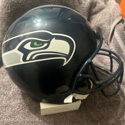 Youth 5-9 yr Seahawks costume helmet