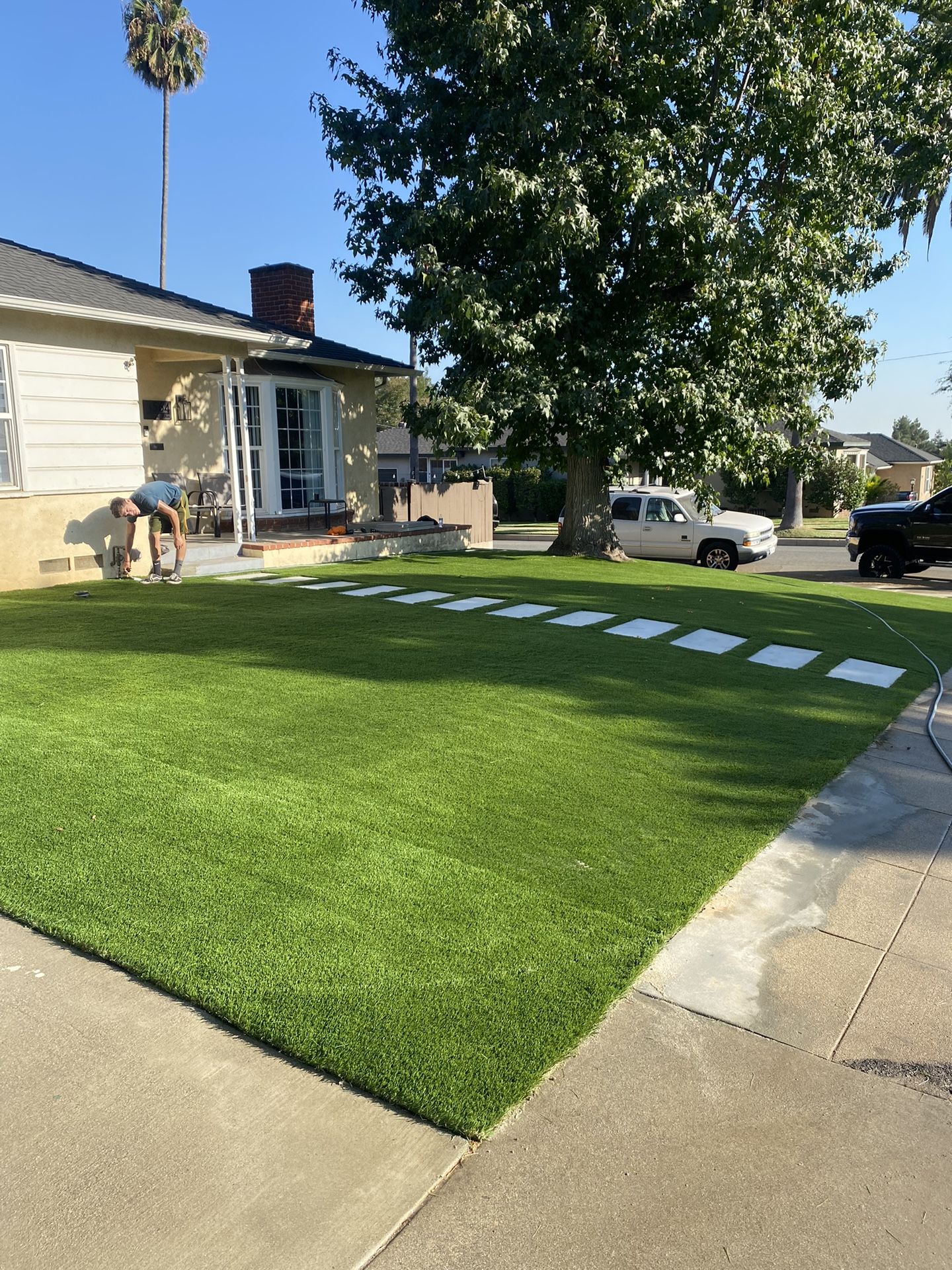 Artificial Turf Fake Grass Landscape Hardscape