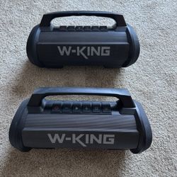 W King d10 Speakers 