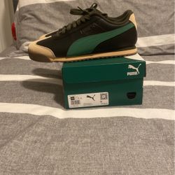 Brand New Men’s Puma Shoe