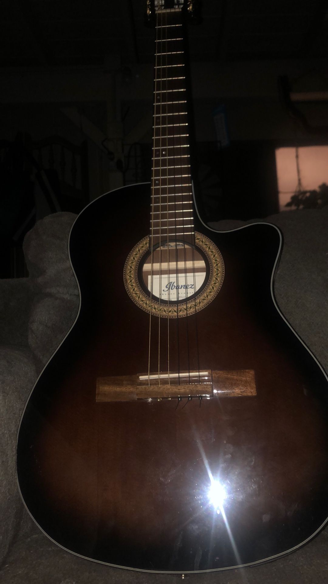 Electric/Acoustic Nylon String Thinline Ibanez