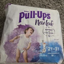 Pull Ups 2t-3t $7 OBO