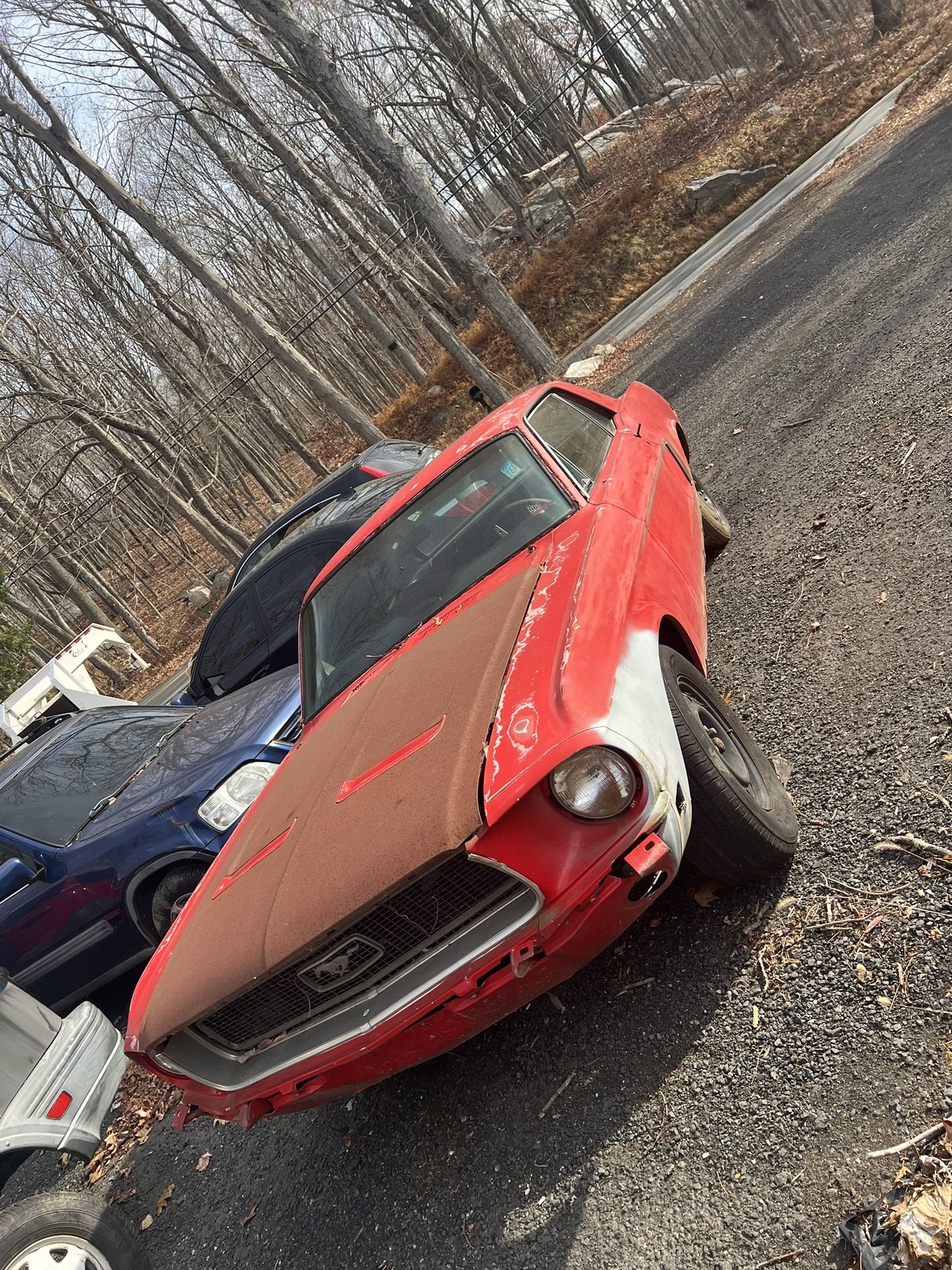 1967 Ford Mustang
