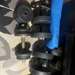 Bench With Bicep Curl , Ez Curl Bar With Free Weights And Two Sets Of Dumbbells 