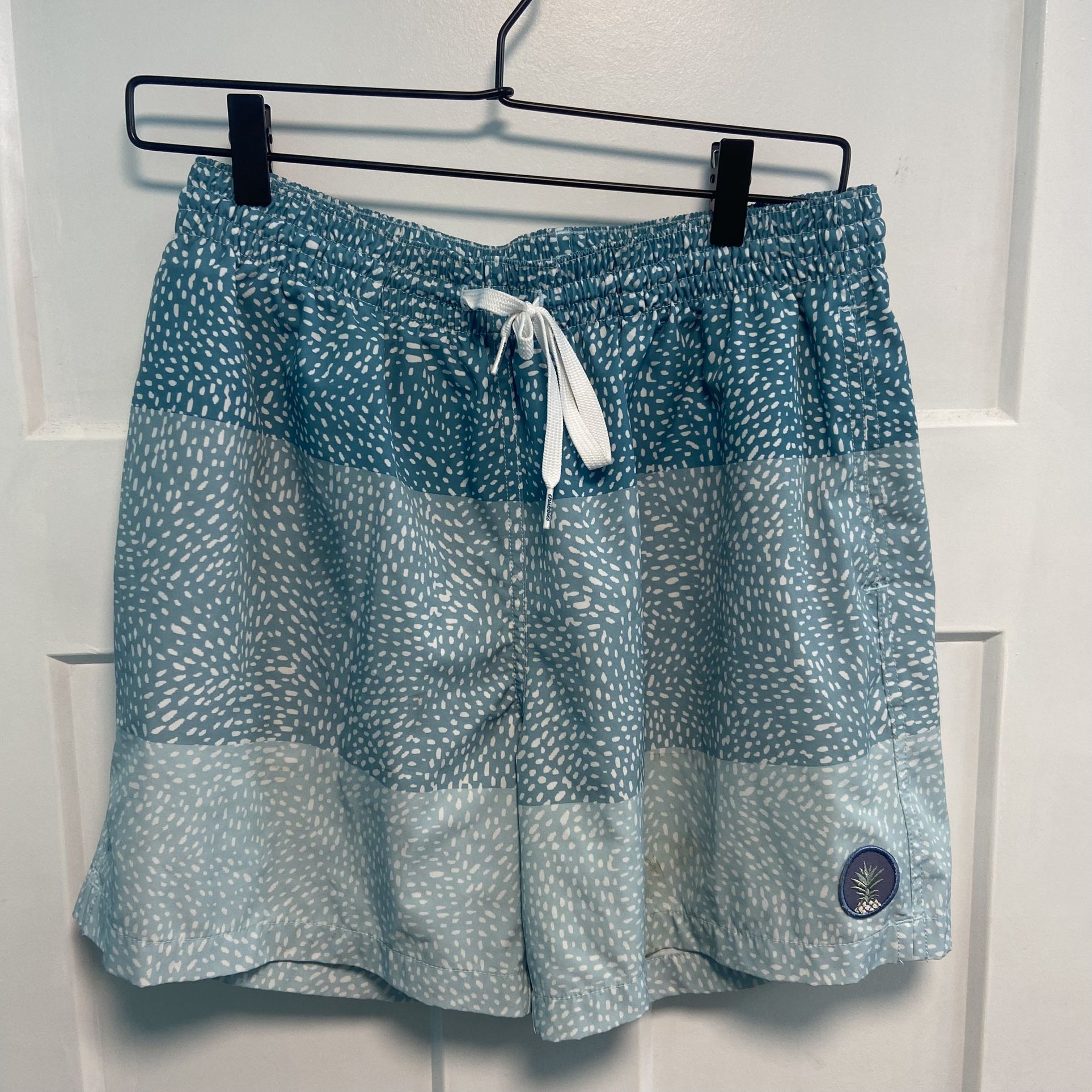 Chubbies Shorts Men Size Small Blue 5" Inseam The Whale Sharks Swim Trunks