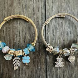 Charm Bracelet (Bundle)