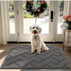 hicorfe Front Door Mat Outside Entrance,32"x40" Absorbent Muddy Dirt Resist Welcome Door Mats Outdoor Indoor,Stain and Fade Resistant,Non Slip Backing