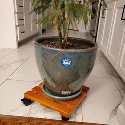 Plant Pot Caddy