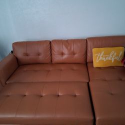 Pull Out Chair 