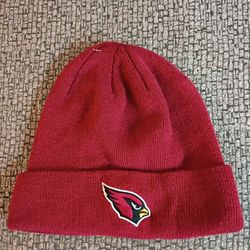Arizona Cardinals Team Beanie 