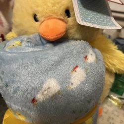Big Chick  And A Blanket