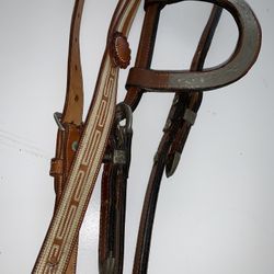 Horse Bridle