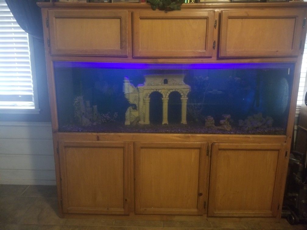 125gal Fish Tank and Stand
