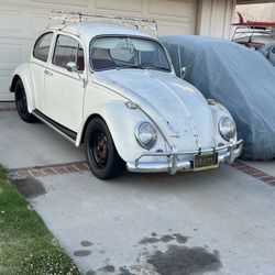 Vw Bug 66