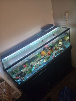 60 gallon fish tank with stand