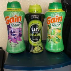 Gain And Downy In Wash Scent Booster Bundle