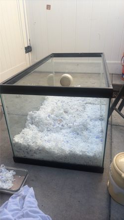 40 gallon fish tank